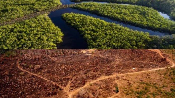 Deforestación en Colombia