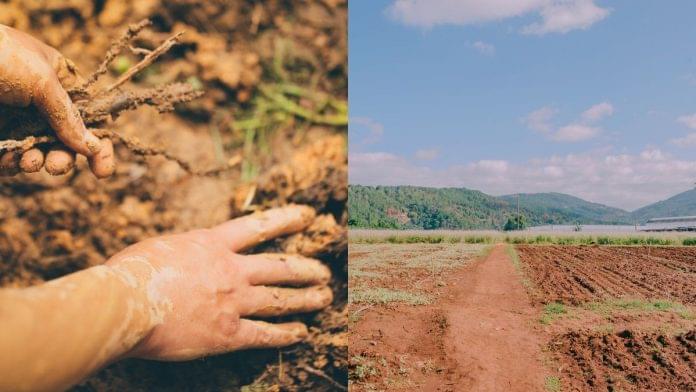 Colombia cuenta con potencial para sembrar alimentos en 39 millones de hectáreas: MinAgricultura