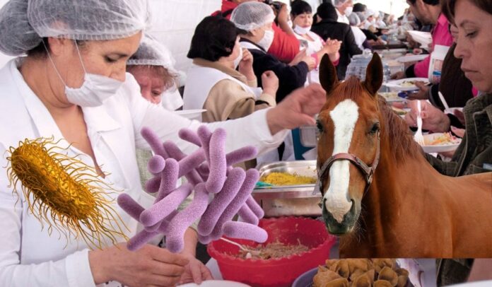Carne de caballo en comedores comunitarios