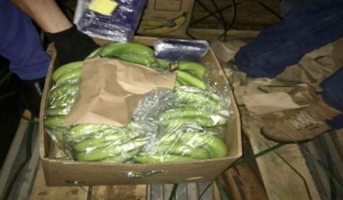 La droga estaba oculta en cajas de plátano