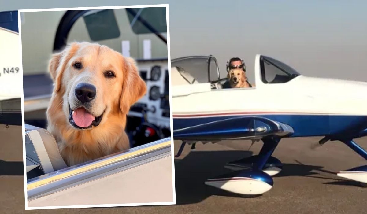 Gus se ha turnado para unirse a Justin en su avión RV-9A desde que tenía 12 semanas.