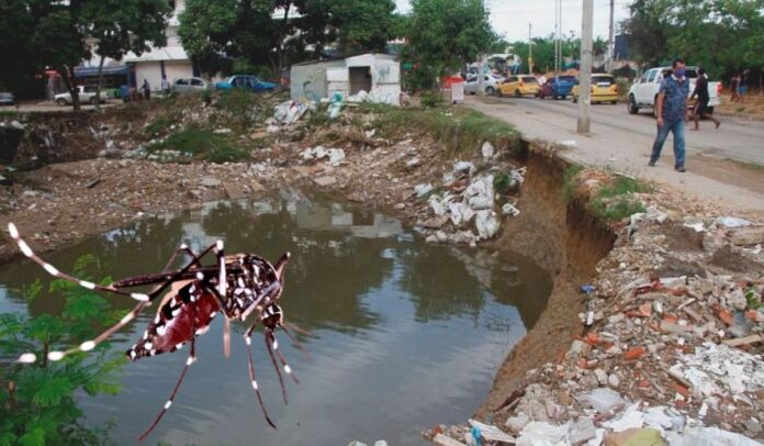 Alerta roja por dengue en Cartagena