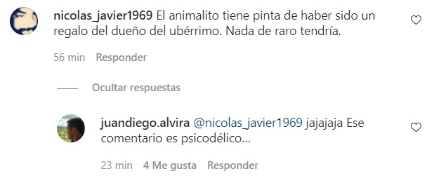 Juan Diego Alvira le responde a seguidor que sugirió que Uribe le había regalado un caballo