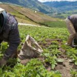 Crisis en el agro colombiano