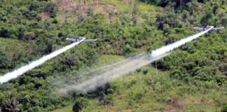 La Corte Constitucional dijo ‘no’ al retorno del glifosato No a las aspersiones con glifosato