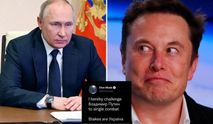Elon Musk retó a Vladimir Putin a un combate singular