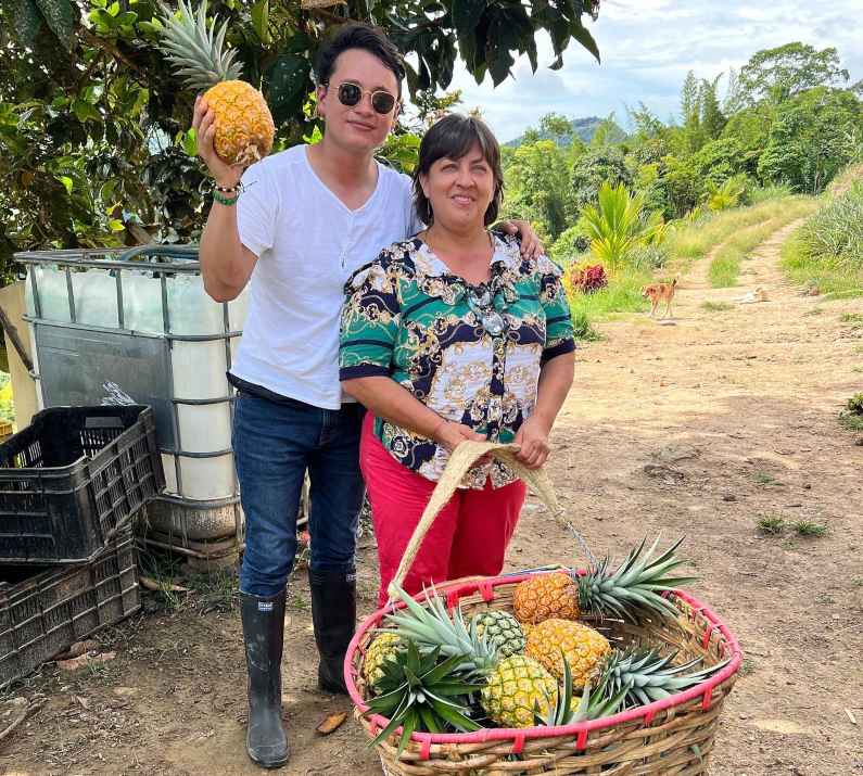 Piñas desde $1.000 pesos en Bucaramanga