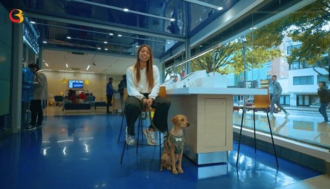Los perritos podrán ingresar a las oficinas del Banco de Bogotá
