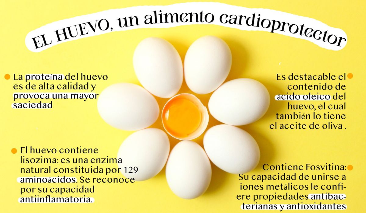 El huevo, un alimento saludable y económico