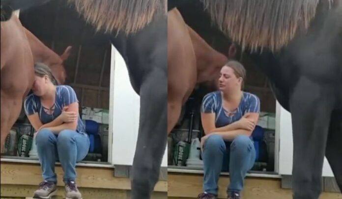 El tierno caballo se volvió viral por consentir a su cuidadora.