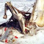 Encuentran en los Alpes restos de avión que se estrelló hace 54 años