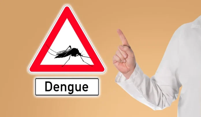 El dengue mató al menos a 5.500 personas en los 20 países