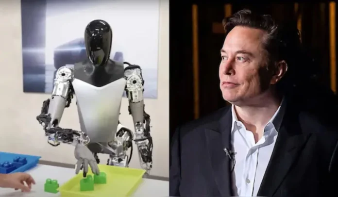 El robot Optimus de Tesla estará disponible para que lo compren fábricas y corporaciones a partir de finales de 2025