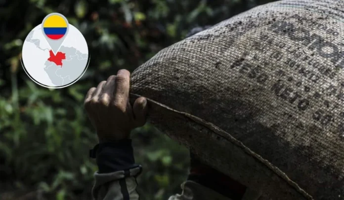 La cosecha de café colombiano alcanza su mayor crecimiento en tres años