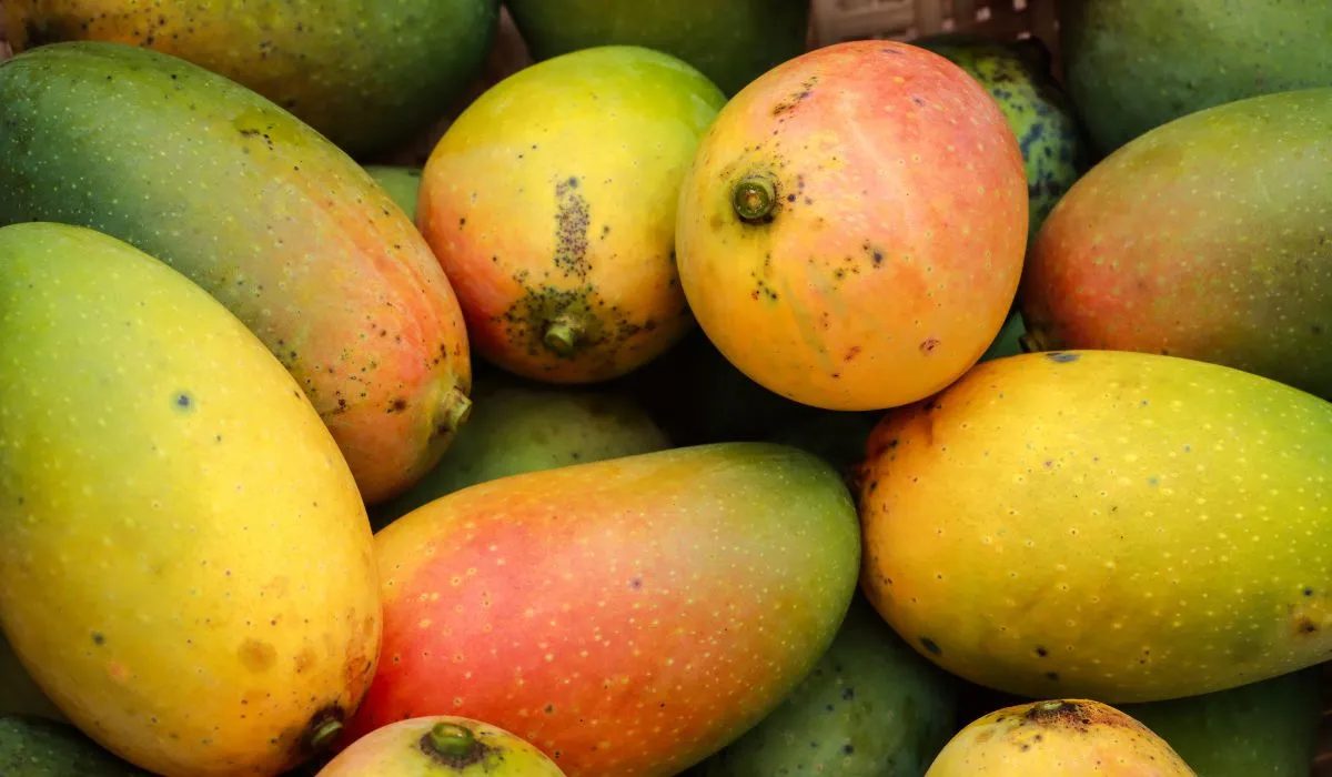 El mango podría tener un efecto positivo en el control del azúcar en sangre