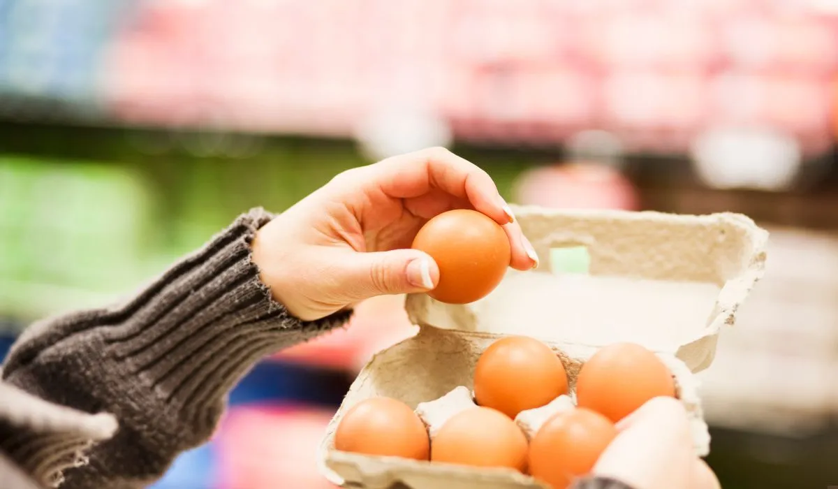 Estados Unidos busca solución internacional ante escasez crítica de huevos