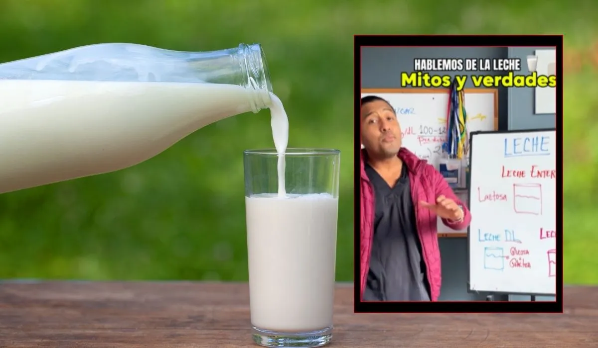 Mitos y verdades sobre el consumo de leche.