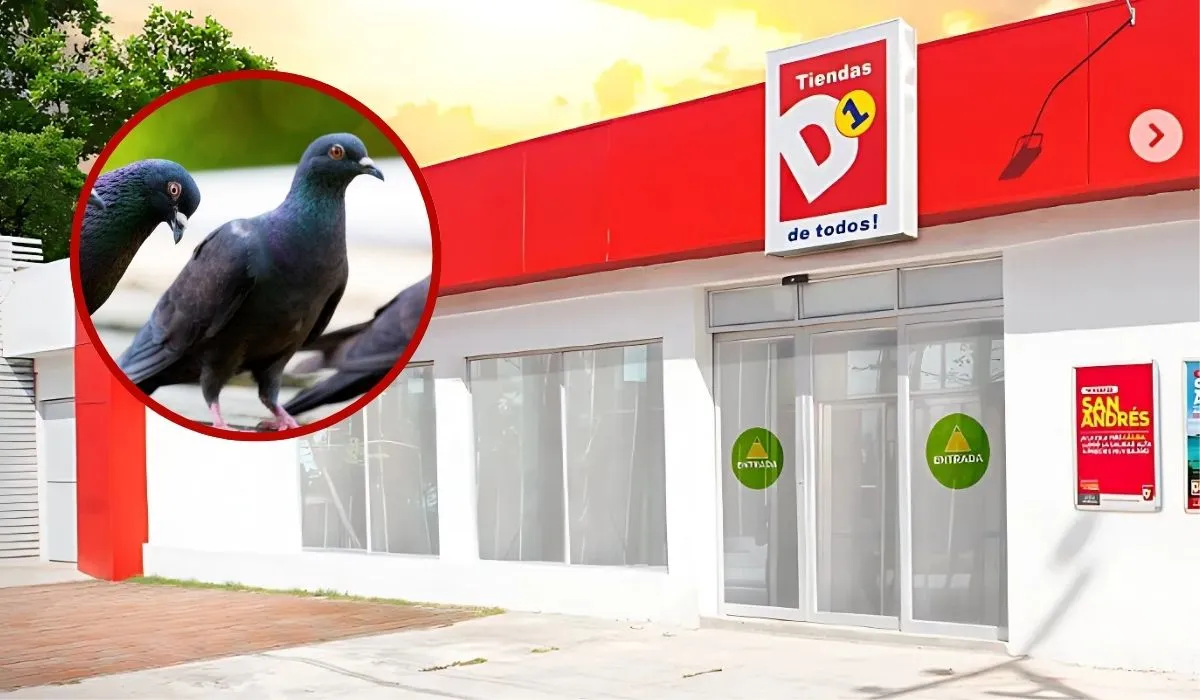 Tienda D1 en San Andrés cerrada temporalmente