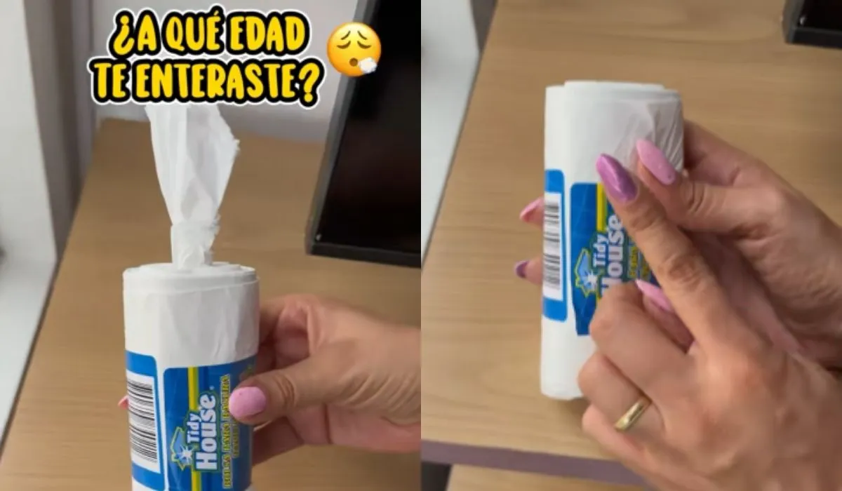 Bolsas plásticas del D1.