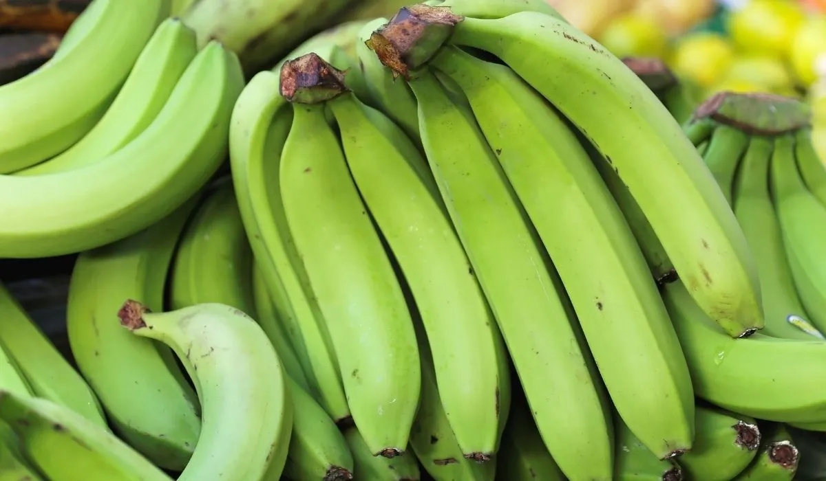 Plátano verde y sus beneficios.