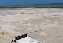 SAMA LTDA: La nueva inversión del gobierno Petro para revivir la industria salinera de La Guajira Así es SAMA LTDA, la empresa que reactivará la economía de La Guajira.