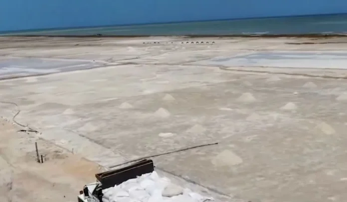 Así es SAMA LTDA, Así es SAMA LTDA, la empresa que reactivará la economía de La Guajira.