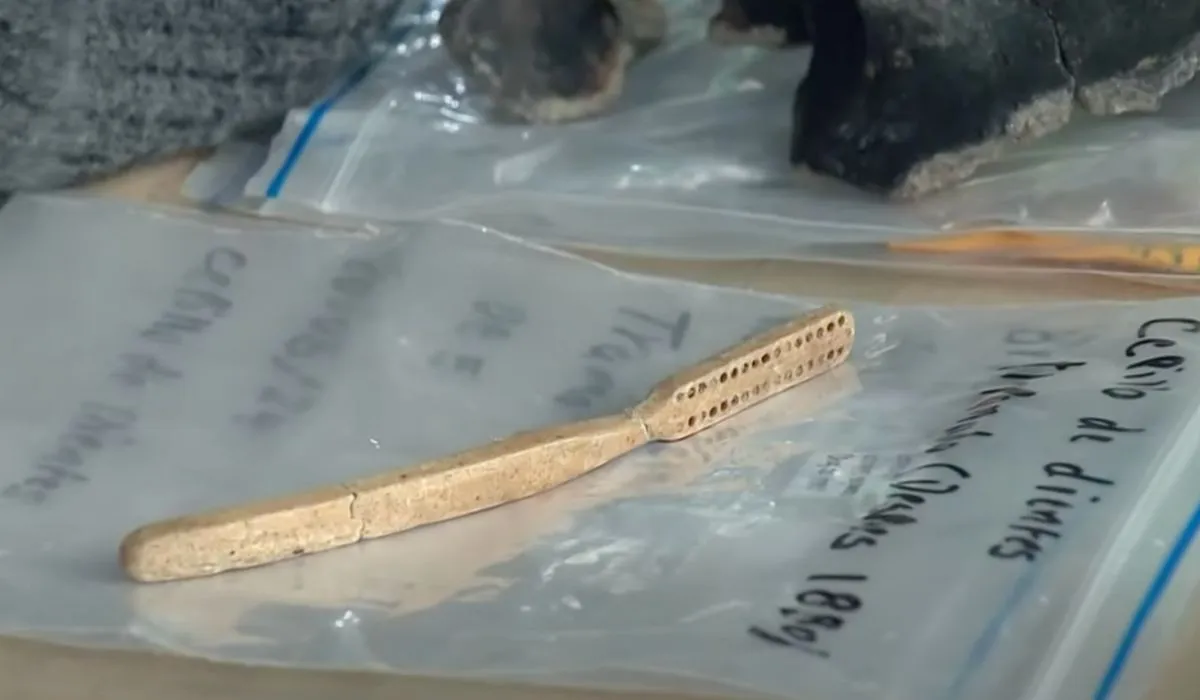 Cepillo de diente encontrado en el Bronx