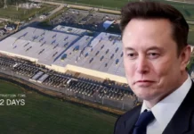 Elon Musk desafía a Microsoft con su nueva empresa de inteligencia artificial Macrohard Elon Musk lanza Macrohard