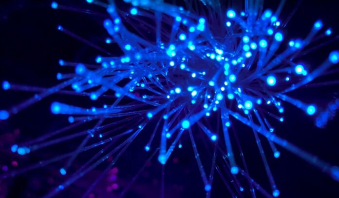 luces azules