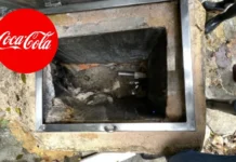 Congresistas denuncian que Coca-Cola se apropia de manantiales en La Calera La propuesta de Petro tras denuncia contra Coca-Cola por sellar nacimientos de agua