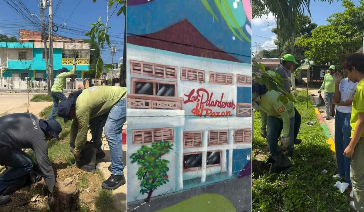 Proyecto Sembrando y Cultivando lectores