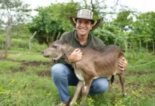 Umata Cartagena gasta casi $2.000 millones en OPS Director de la UMATA, Adolfo Pérez Fonseca