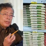Durante el gobierno de Petro, el arroz ha alcanzado un precio de $1.800 la libra.