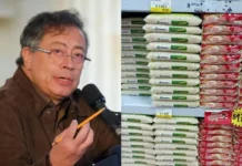 Precio del arroz baja a menos de $2.000 durante el gobierno Petro Durante el gobierno de Petro, el arroz ha alcanzado un precio de $1.800 la libra.