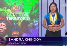 Así descubrió Hollman Morris a Sandra Chindoy, la voz que llevó a RTVC Sandra Chindoy, expresentadora de RTVC