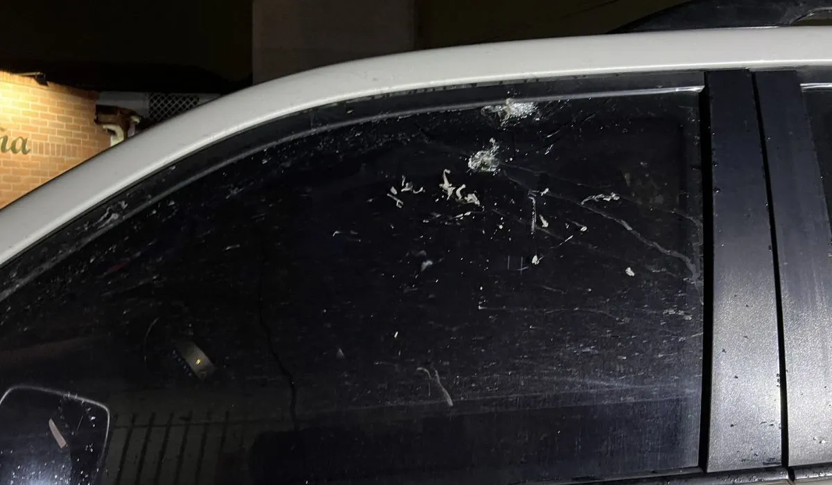 El vehiculo en el que se desplazaba el senador Ortega, recibió 6 impactos de bala