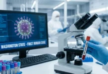 Alerta en EE. UU. tras primer caso mortal de la cepa H5N5 en humanos Washington registra el primer caso humano de gripe aviar H5N5 a nivel mundial