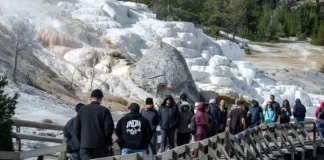 Estados Unidos aumentará costos en Parques Nacionales para turistas internacionales Yellowstone Park