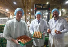 Huevos colombianos llegarán a Estados Unidos, el mercado más exigente del mundo Colombia exportar huevos a Estados Unidos