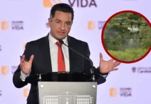 Gobierno reactivará la erradicación con glifosato mediante aspersión con drones Gobierno implementará aspersión terrestre con drones para combatir los cultivos de coca.