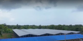 Gobierno Petro inaugura planta solar de $21 mil millones en Isla Grande Paneles solares Isla Grande