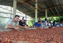 La familia Gilinski sacaría otra fortuna con el cacao colombiano Productores de cacao en Colombia