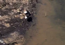 Río de Alaska se tiñe de naranja, detectan contaminación por metales pesados ríos de Alaska se están volviendo naranjas