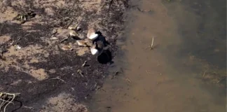 Río de Alaska se tiñe de naranja, detectan contaminación por metales pesados ríos de Alaska se están volviendo naranjas