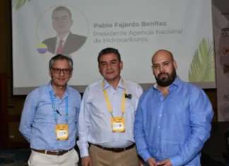 Geólogos proponen que cada alcaldía de Colombia tenga un experto técnico para salvar vidas